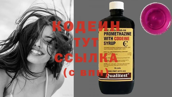 молекула духа Бронницы